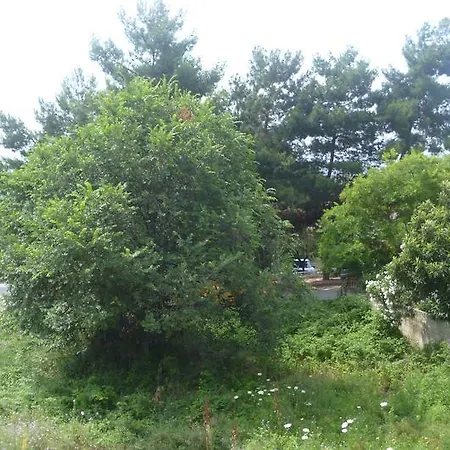 Daire Dimitra's House PalaiónTsiflíkion